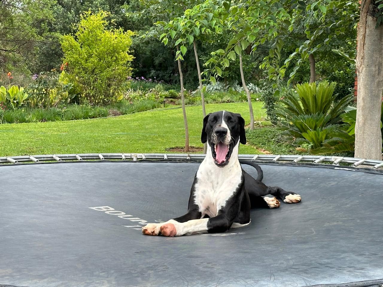 Skye3